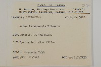 臺灣馬蘭藏品圖，第2張