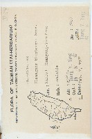 鄧氏胡頹子藏品圖，第2張