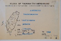 登錄號:S076140藏品圖，第2張