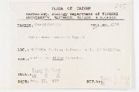 玉山佛甲草藏品圖，第2張