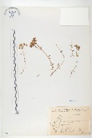 登錄號:S076144藏品圖，第1張