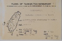 玉山小蘗藏品圖，第2張