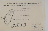 青葙藏品圖，第2張