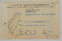 佩羅特木藏品圖，第2張