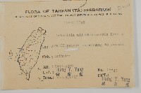 玉山艾藏品圖，第2張