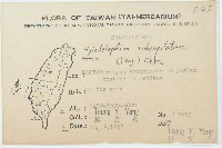 穗花八寶藏品圖，第2張