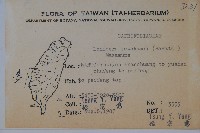 川上氏忍冬藏品圖，第2張