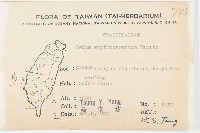 紅子佛甲草藏品圖，第2張