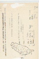 玉山山蘿蔔藏品圖，第2張