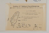 玉山卷耳藏品圖，第2張