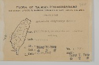 高山艾藏品圖，第2張