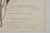 下田菊藏品圖，第2張