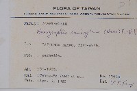 直立半插花藏品圖，第2張