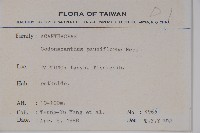 針刺草藏品圖，第2張