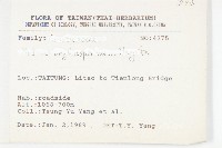 紅子佛甲草藏品圖，第2張