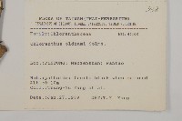 臺灣及己藏品圖，第2張