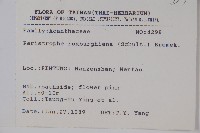 長花九頭獅子草、山藍藏品圖，第2張