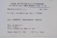 賽山藍藏品圖，第2張