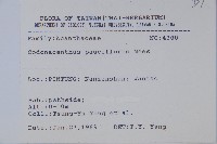 針刺草藏品圖，第2張