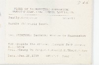 桃葉珊瑚藏品圖，第2張