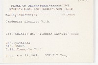 焊菜藏品圖，第2張