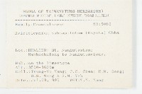 穗花八寶藏品圖，第2張