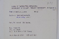 阿里山忍冬、漸尖葉忍冬藏品圖，第2張