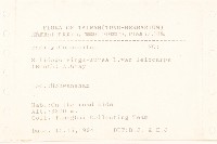 一枝黃花藏品圖，第2張