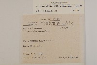 臺灣馬蘭藏品圖，第2張