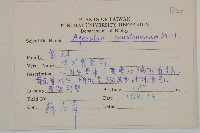 紫花霍香薊藏品圖，第2張