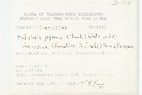 臺灣青莢葉藏品圖，第2張