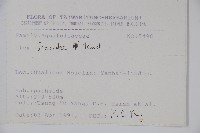 臺灣糊樗藏品圖，第2張