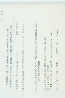 杜英、山杜英、蘭嶼杜英藏品圖，第2張