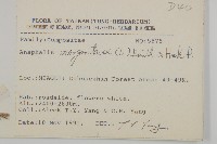 抱莖籟簫藏品圖，第2張