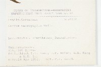 梜木藏品圖，第2張