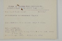 佩羅特木藏品圖，第2張