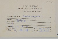 霍香薊藏品圖，第2張