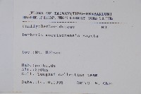 玉山小蘗藏品圖，第2張