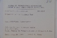 珊瑚樹藏品圖，第2張