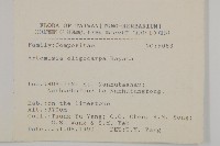 高山艾藏品圖，第2張