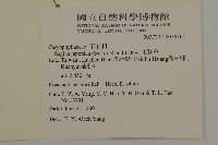 瓜槌草、漆姑草藏品圖，第2張