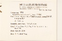 法國菊藏品圖，第2張