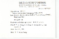 尖萼佛甲草藏品圖，第2張