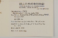 繁縷藏品圖，第2張