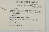 玉山抱莖籟簫藏品圖，第2張