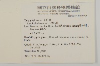 狗筋蔓藏品圖，第2張