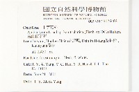 玉山筷子芥藏品圖，第2張