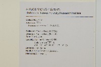 高山艾藏品圖，第2張