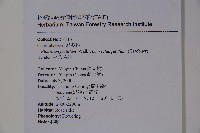 狹葉莢迷藏品圖，第2張