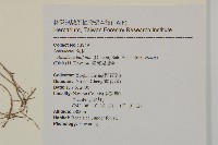 臺灣鬼督郵藏品圖，第2張